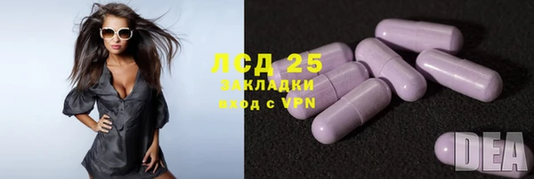 винт Алзамай
