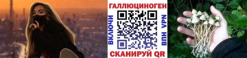 цена   Красково  блэк спрут маркетплейс  Псилоцибиновые грибы MAGIC MUSHROOMS 